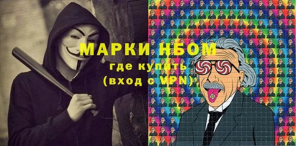 стаф Каменногорск