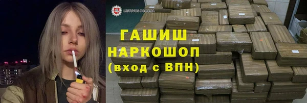 стаф Каменногорск