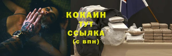 стаф Каменногорск