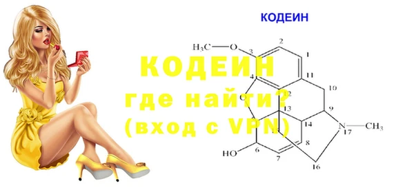 стаф Каменногорск