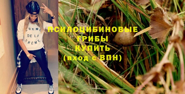 стафф Каменск-Шахтинский