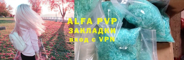 стаф Каменногорск