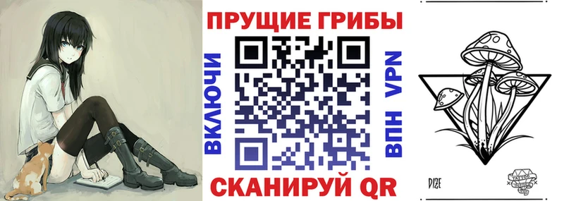Псилоцибиновые грибы Psilocybine cubensis  Купить где  Дубна 